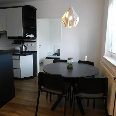 Apartman Elegant Poklukarjeva Street